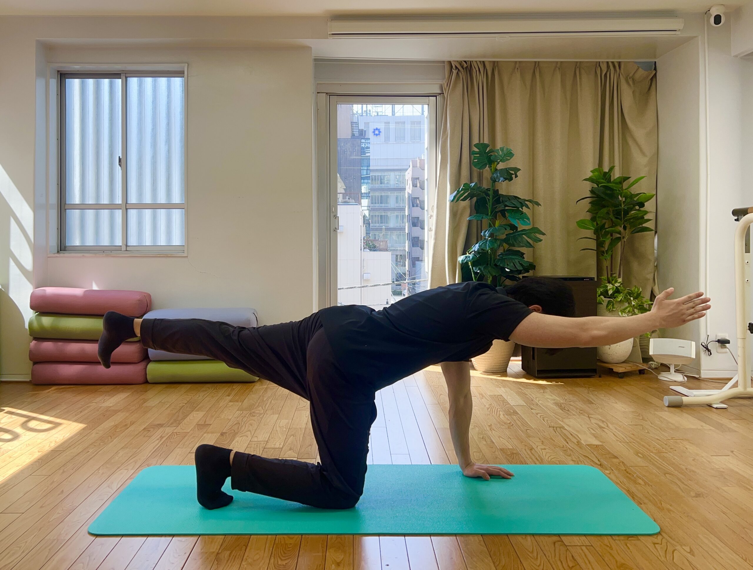 バードドッグ バードドッグ